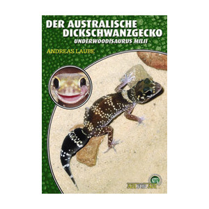 Der Australische Dickschwanzgecko