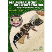 Der Australische Dickschwanzgecko