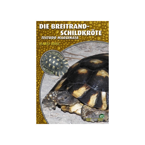 Die Breitrandschildkröte
