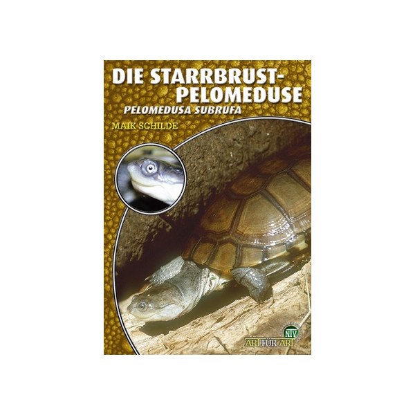 Die Starrbrust-Pelomeduse