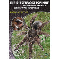 Die Riesenvogelspinne