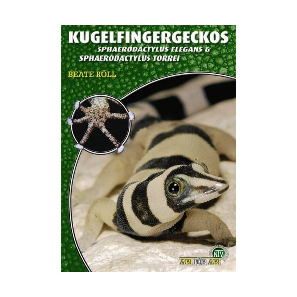 Kugelfingergeckos