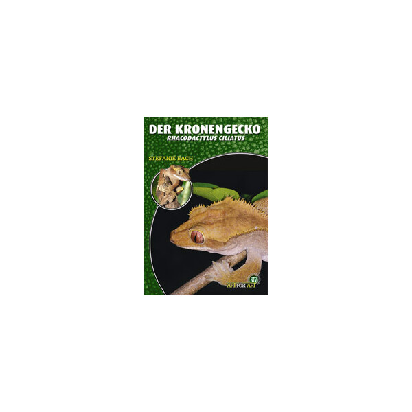 Der Kronengecko