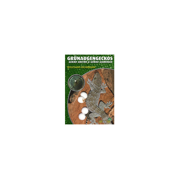 Grünaugengeckos