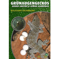 Grünaugengeckos