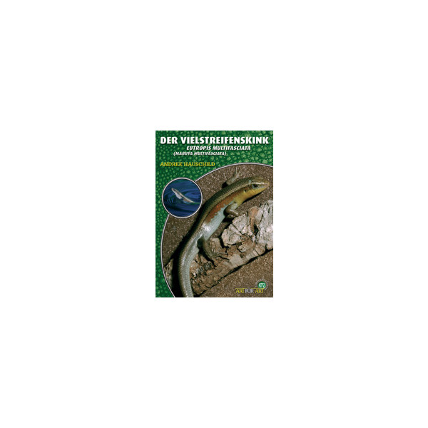 Der Vielstreifenskink