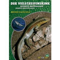 Der Vielstreifenskink