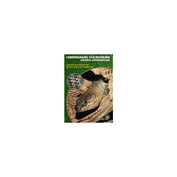 Cunninghams Stachelskink