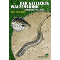 Der gefleckte Walzenskink