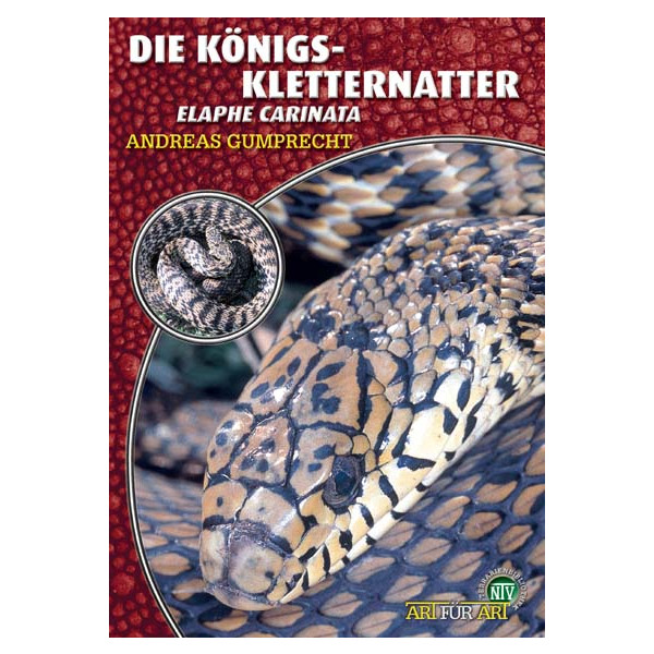 Die Königskletternatter