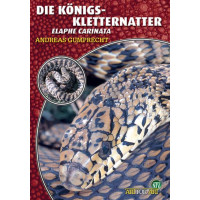 Die Königskletternatter