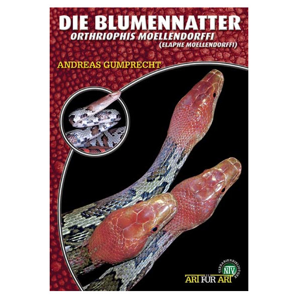 Die Blumennatter