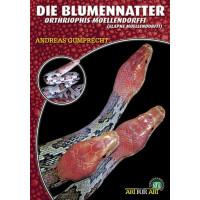 Die Blumennatter