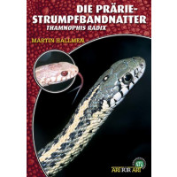 Die Prärie-Strumpfbandnatter