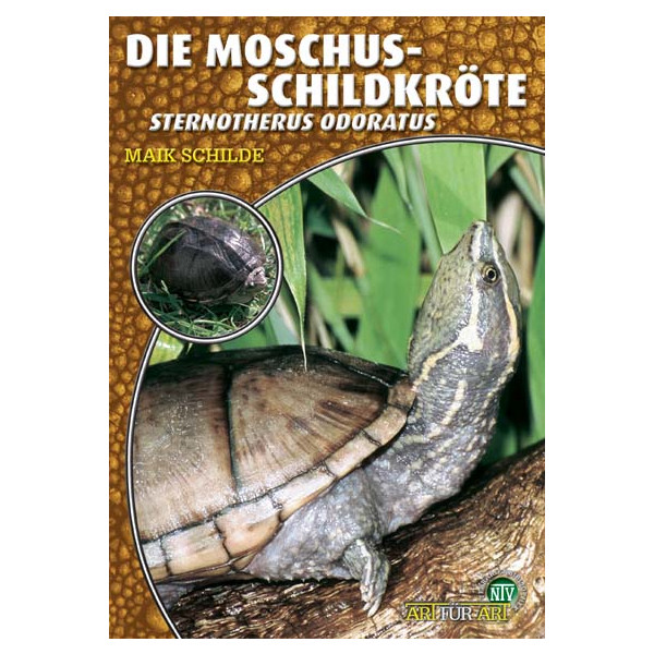 Die Moschusschildkröte