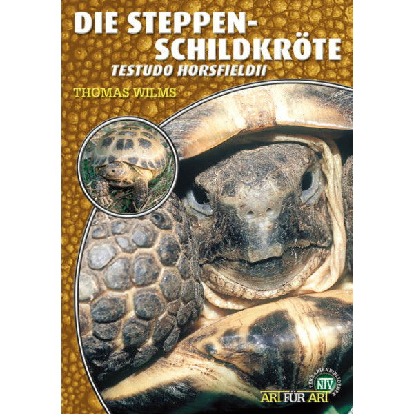 Die Steppenschildkröte