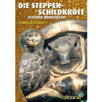 Die Steppenschildkröte