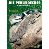 Die Perleidechse