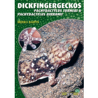 Dickfingergeckos