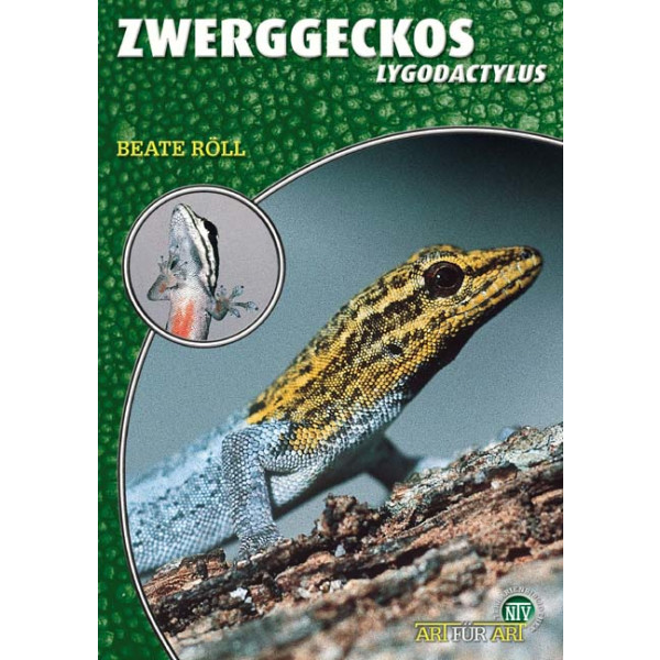 Zwerggeckos