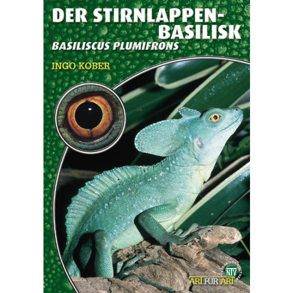 Der Stirnlappenbasilisk
