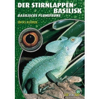 Der Stirnlappenbasilisk