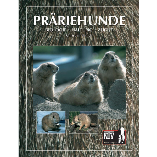 Präriehunde