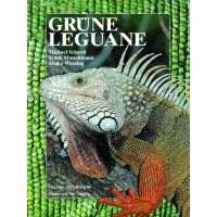 Grüne Leguane