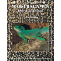 Wasseragamen und Segelechsen