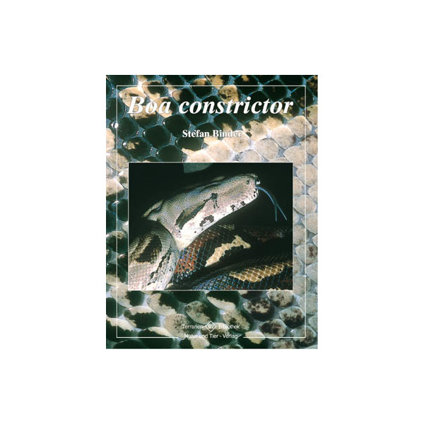 Boa Constrictor
