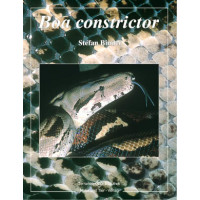 Boa Constrictor