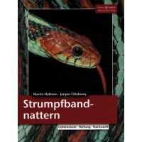 Strumpfbandnattern