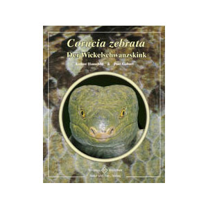 Corucia zebrata