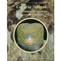 Corucia zebrata