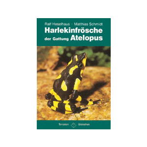 Harlekinfr&ouml;sche der Gattung Atelopus