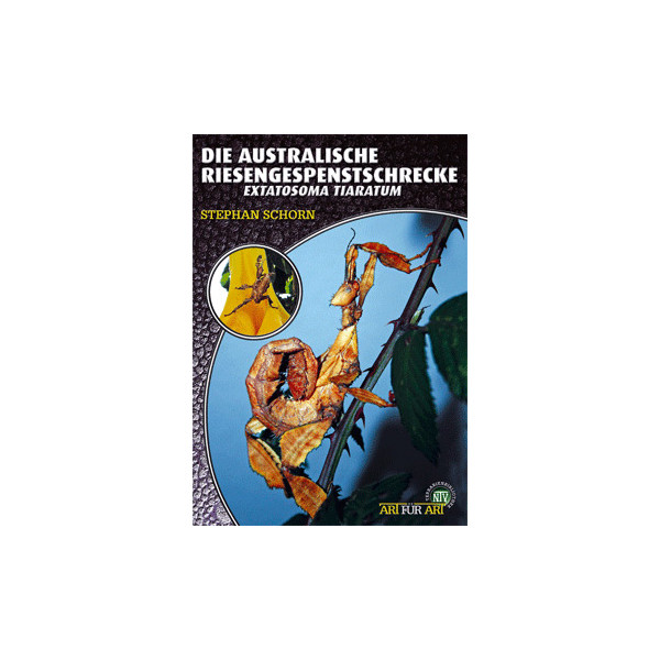 Die Australische Riesengespenstschrecke