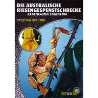 Die Australische Riesengespenstschrecke