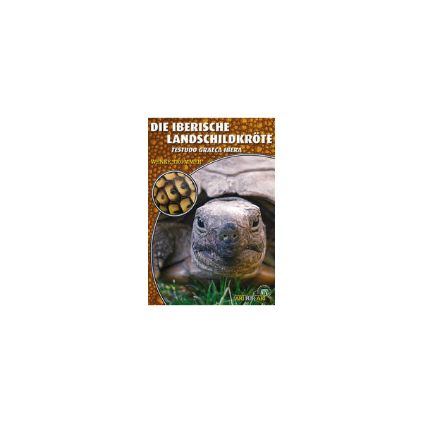 Die Iberische Landschildkröte
