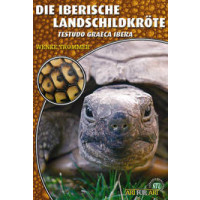 Die Iberische Landschildkröte