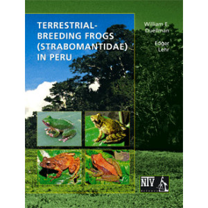 Terrestrial-Breeding Frogs in Peru