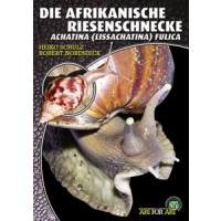 Die Afrikanische Riesenschnecke