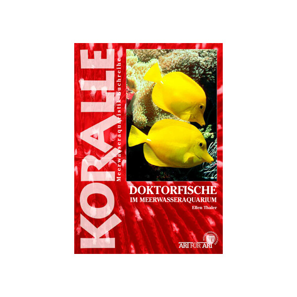 Doktorfische