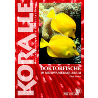 Doktorfische