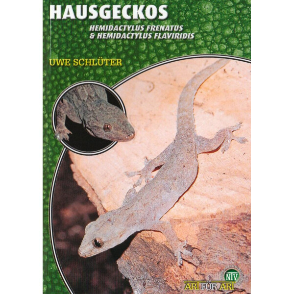 Hausgeckos