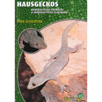 Hausgeckos