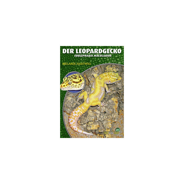 Der Leopardgecko