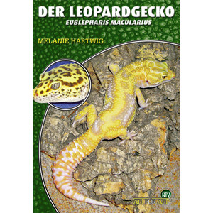 Der Leopardgecko