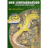 Der Leopardgecko