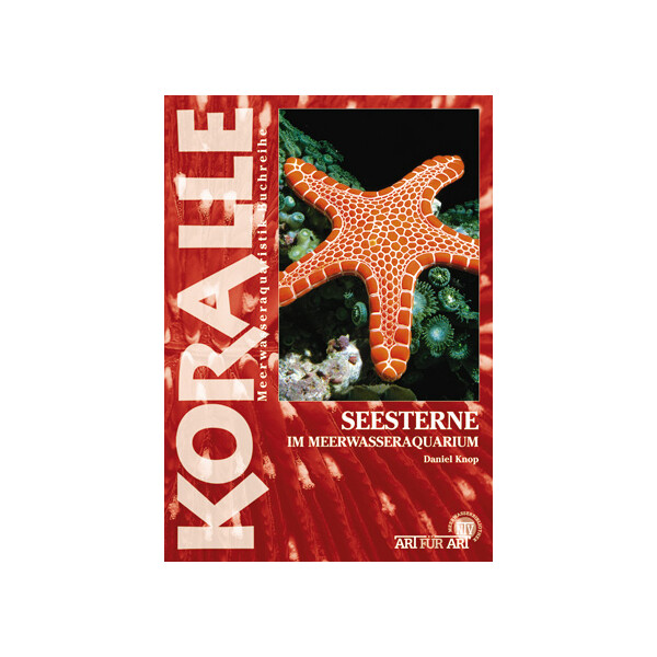 Seesterne
