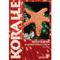 Seesterne